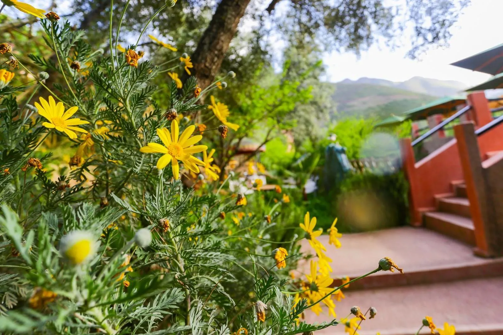 Farm stay Farm Ikalimo Villa Marrakesh