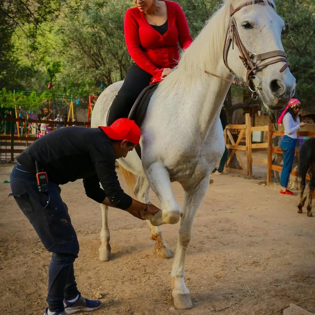 Farm stay Farm Ikalimo Villa Marrakesh Morocco